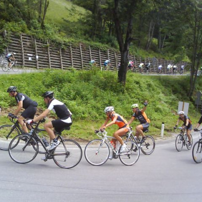 dvig-franja-2012